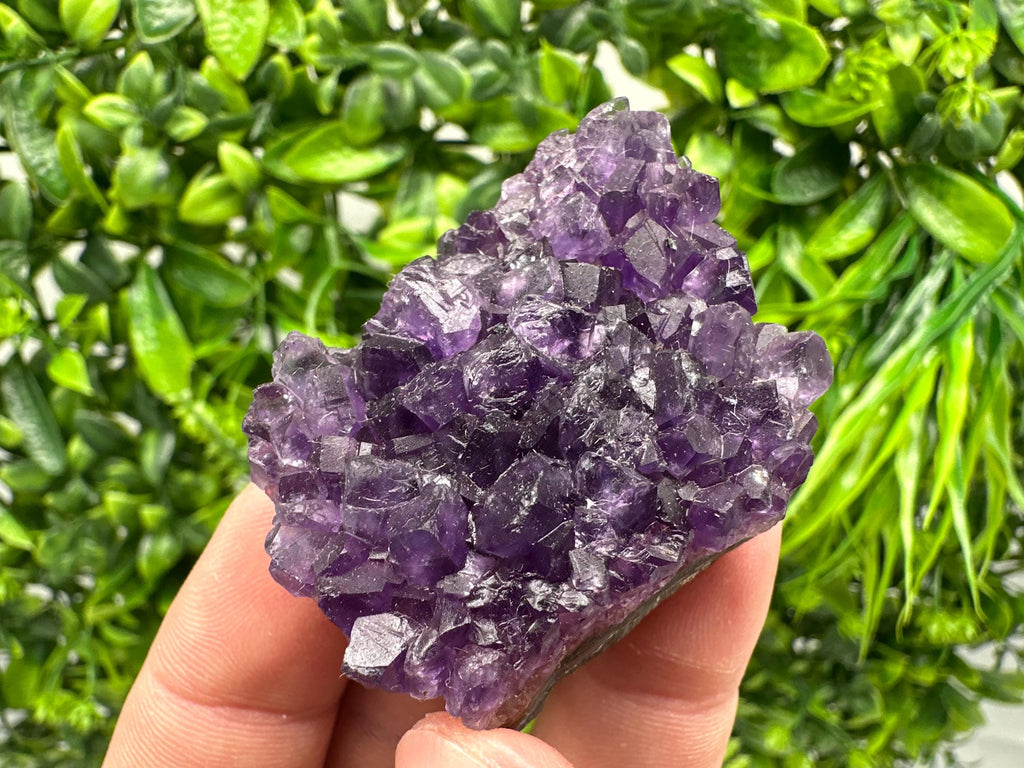 Uruguay Amethyst Cluster: Purple Quartz Crystal, Home Decor