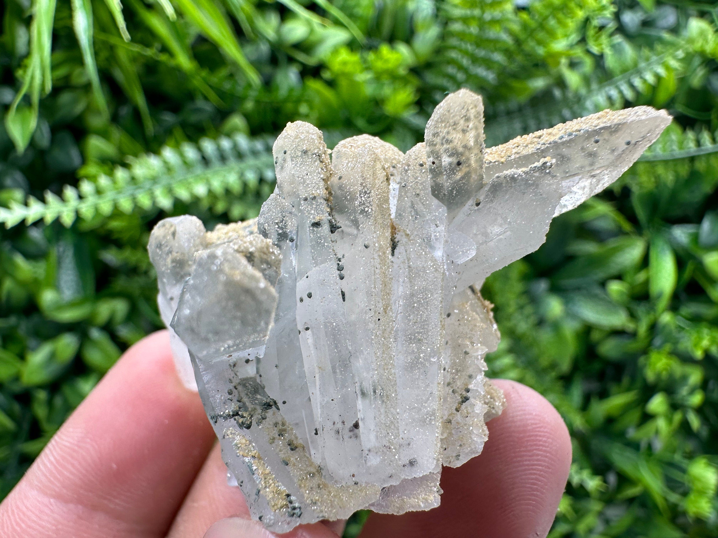 Quartz Rhodochrosite Cluster, Djurcovo Mine Mineral Specimen