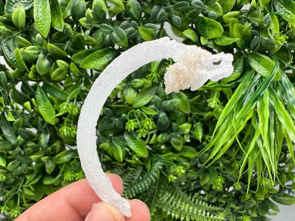 White Selenite Gypsum "Ram's Horn'' Selenite,from Guizhou,China,perfect Shape and Luster,Fluorescent Selenite Gypsum,minerals specimen,colle