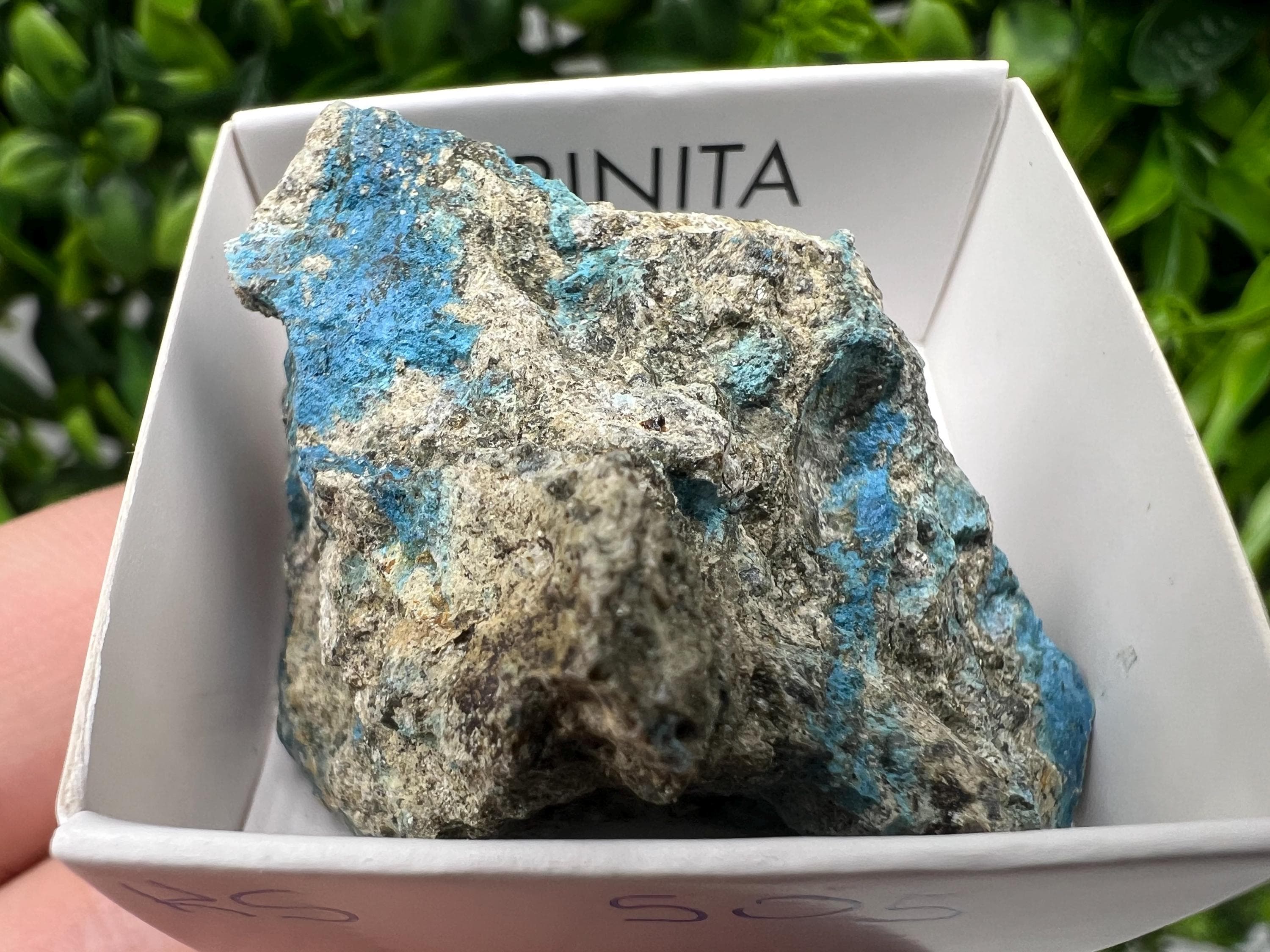 Rare Raw Aerinite Mineral Specimen: Lleida Spain Crystal Collection