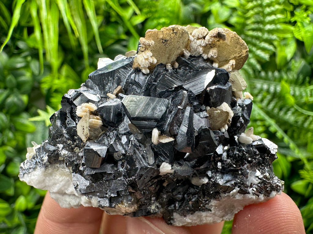 Calcite with Chlorite on Sphalerite, Borieva Mine Mineral Specimen