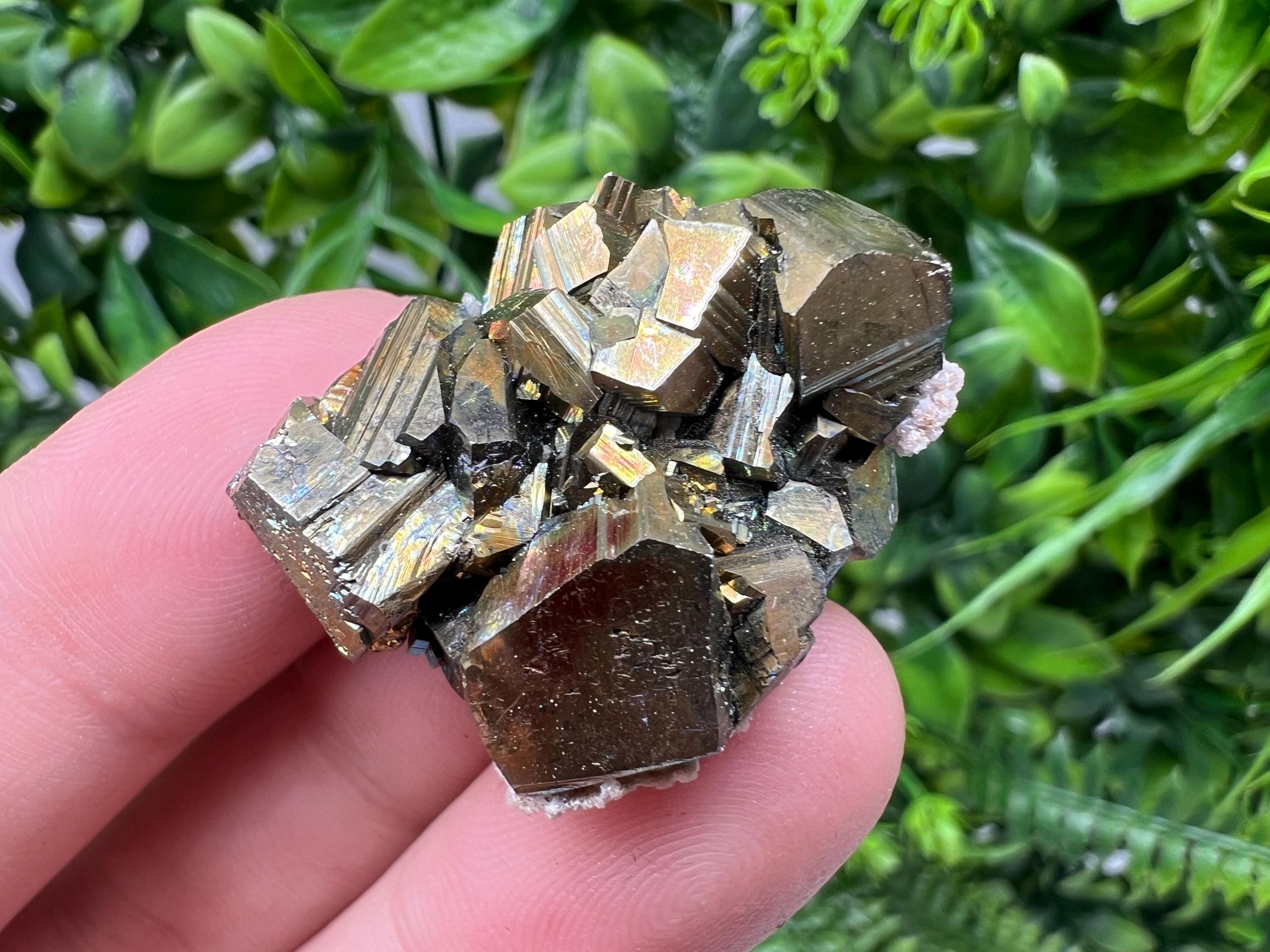 Mini Rainbow Pyrite Cluster: Borieva Mine, Bulgaria