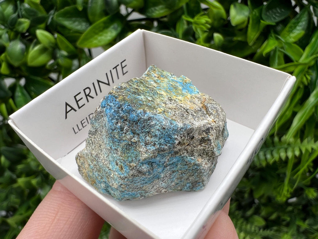 Rare Raw Aerinite Mineral Specimen: Lleida Spain Crystal
