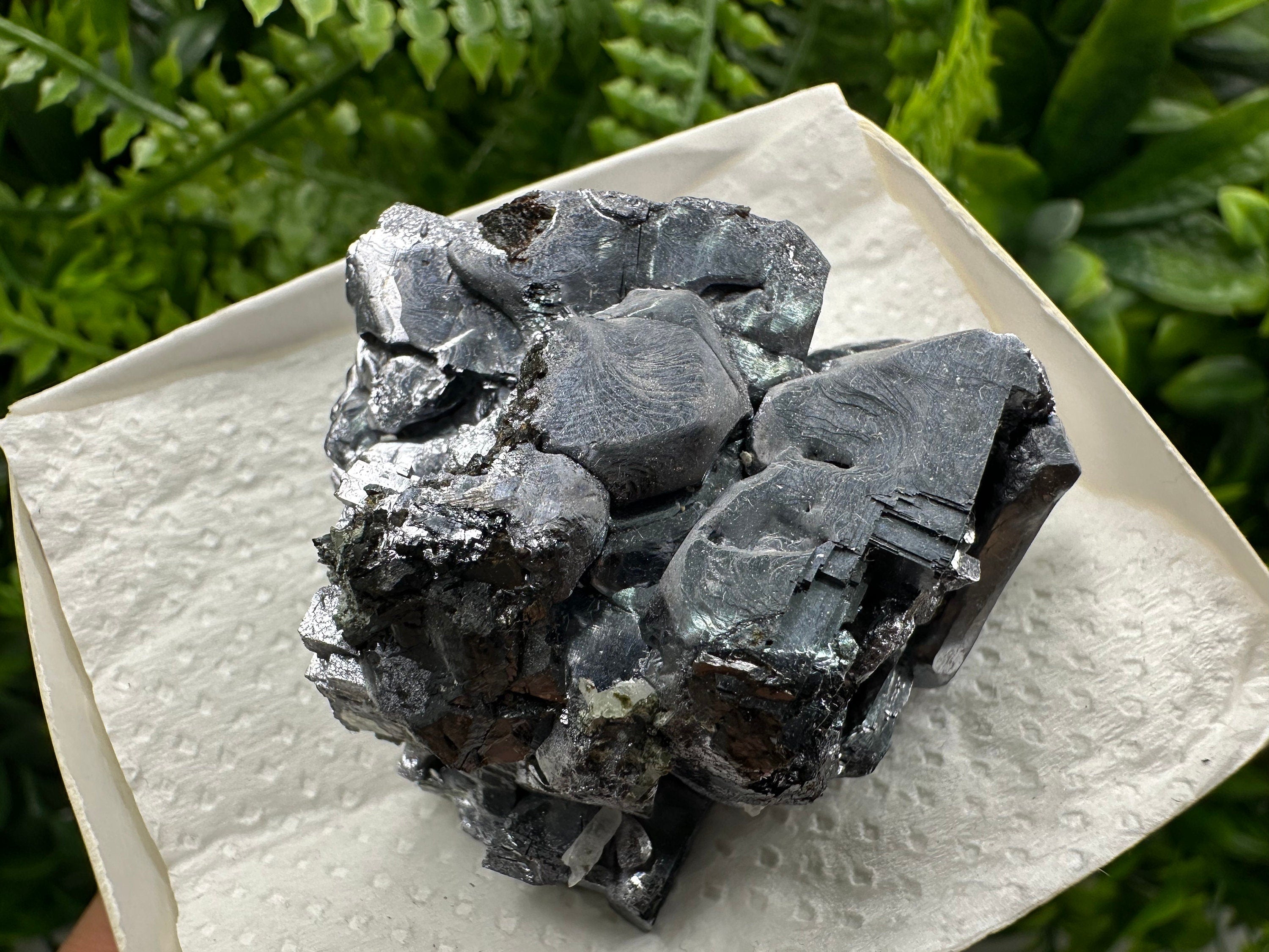 Shiny Galena Cluster: Borieva Mine, Madan Bulgaria
