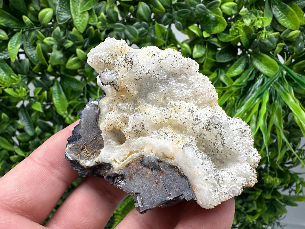 Galena Marcasite on Chalcedony: Androvo Mine Bulgaria Crystal