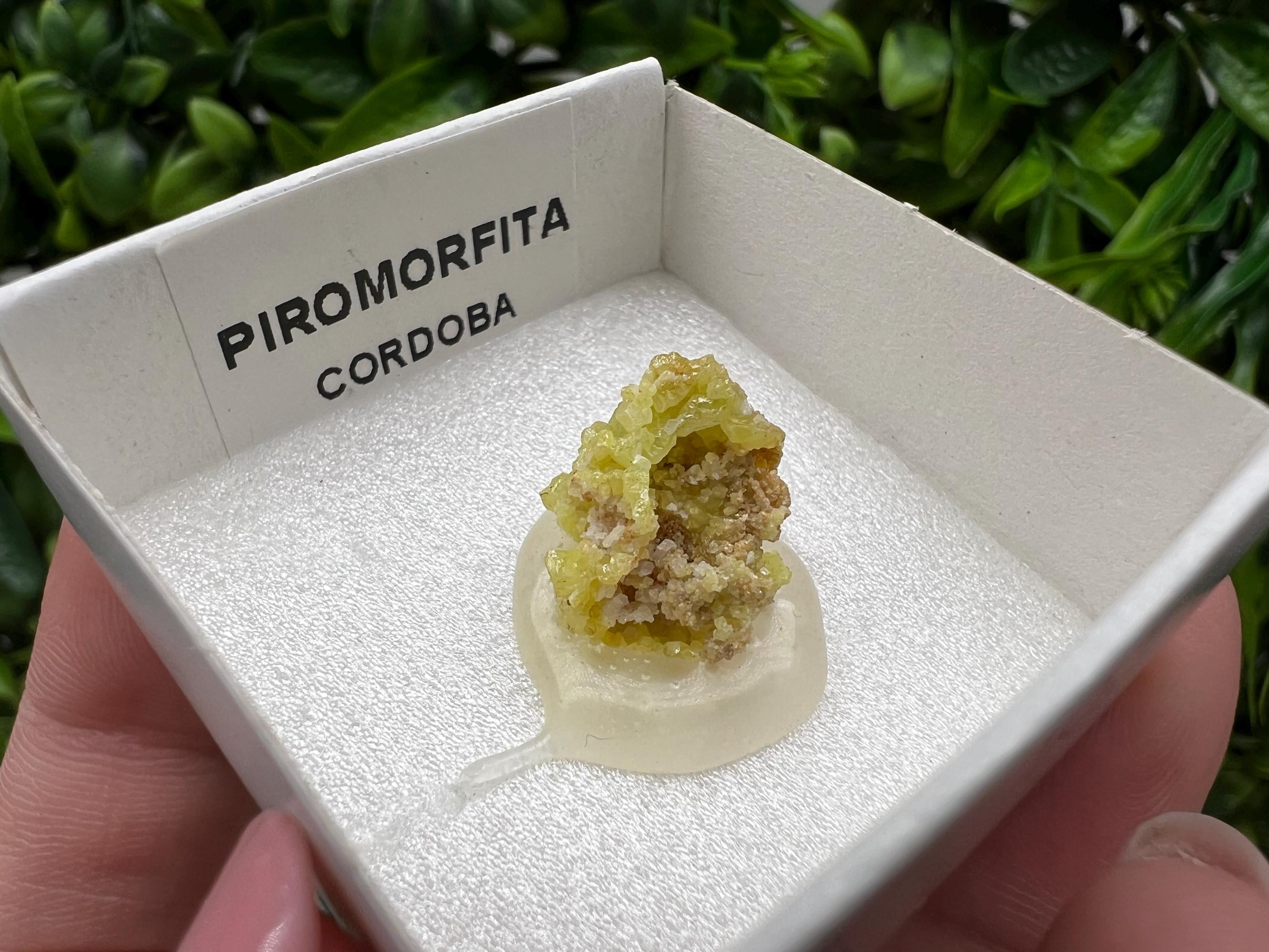 Pyromorphite Stone / Pyromorphite on Matrix / Pyromorphite Crystal / Raw Crystal / Pyromorphite Cluster / Rough Pyromorphite / Pyromorphite