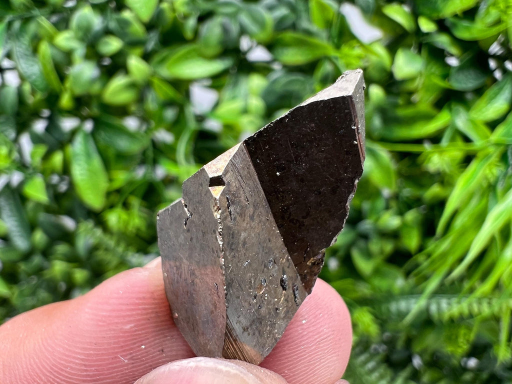 Mini Pyrite Cluster: Rare Crystallization from Borieva Mine
