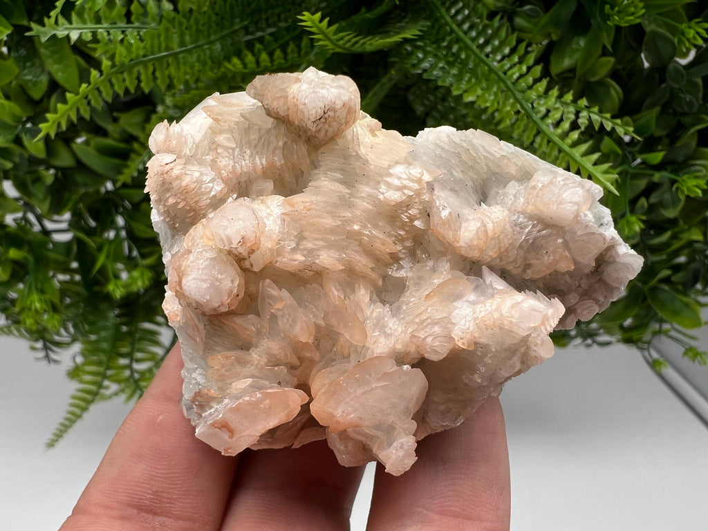 Rare Mangano Calcite Crystal: Borieva Mine, Bulgaria