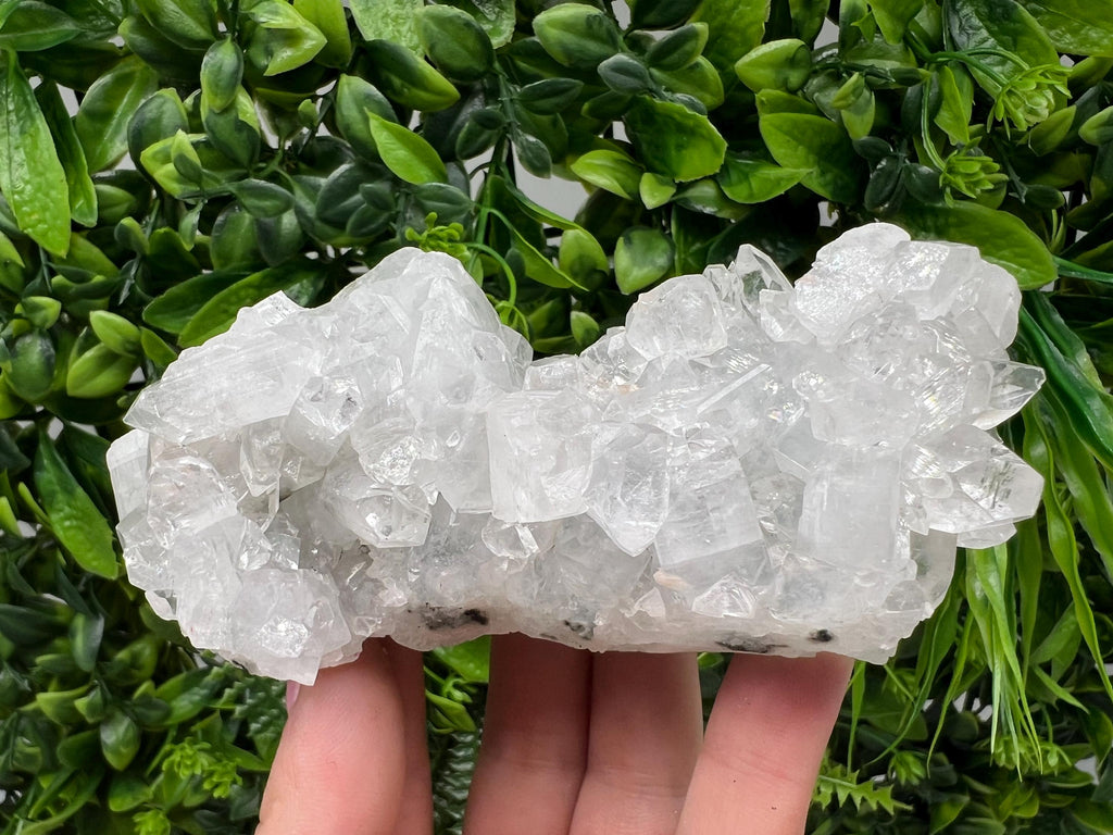 Apophyllite on Chalcedony Specimen: India Minerals Collection