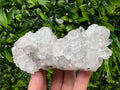 Apophyllite on Chalcedony Specimen: India Minerals Collection