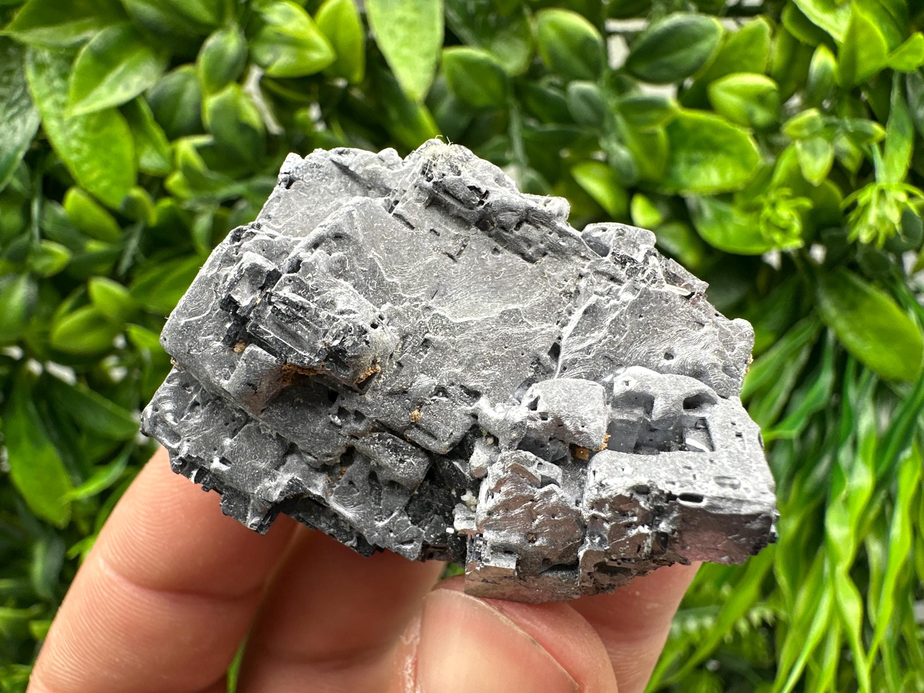 Skeletal Galena on Sphalerite, Bulgarian Crystal Mineral Specimen