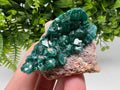 Stunning Green Dioptase from Sanda Hills,Mindouli,Pool Department,Mindouli District,Congo,green Dioptase,Dioptas Crystal,Dioptase collecting