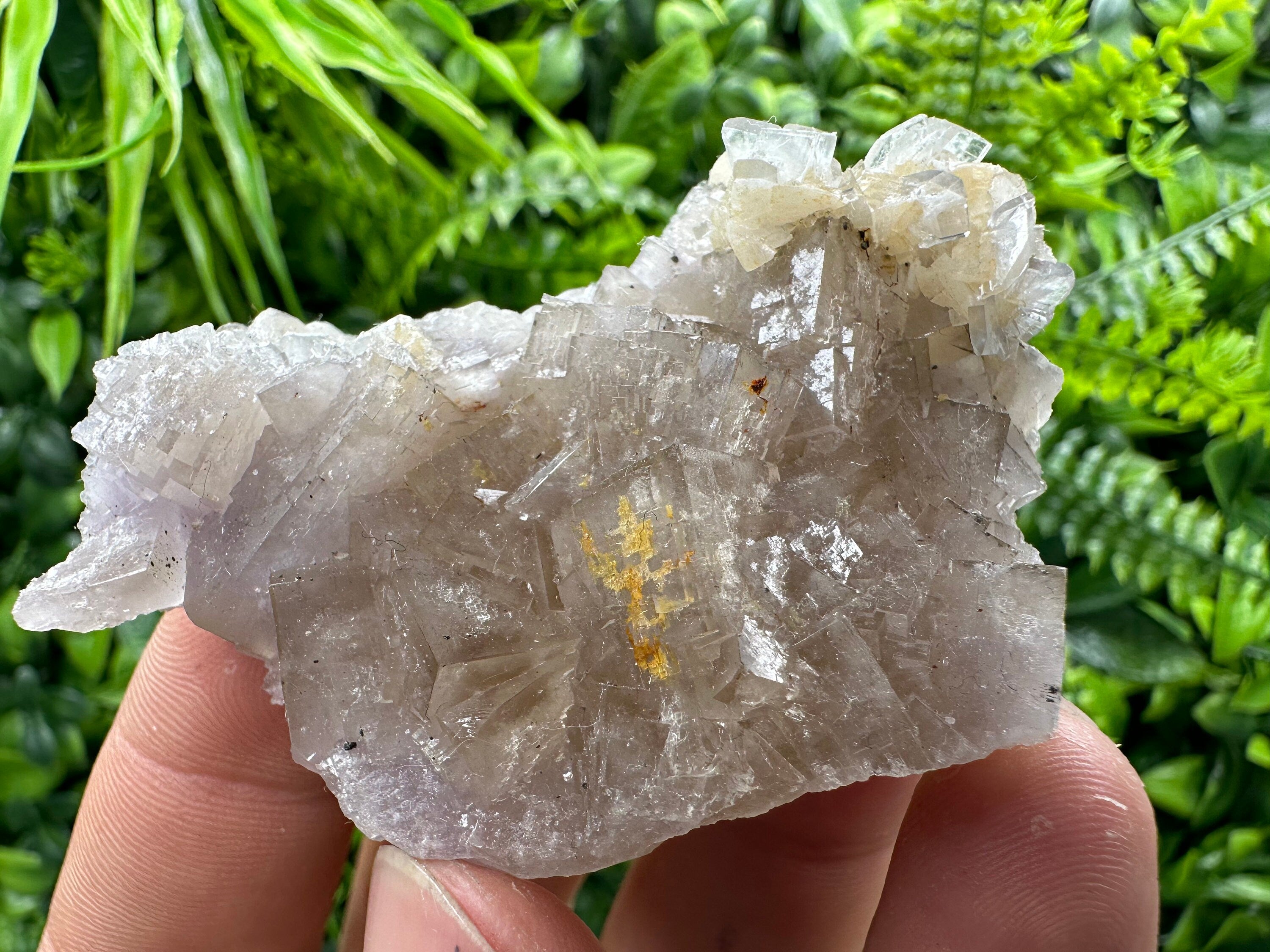 Spanish Fluorite Mineral Specimen: Crystal Collection