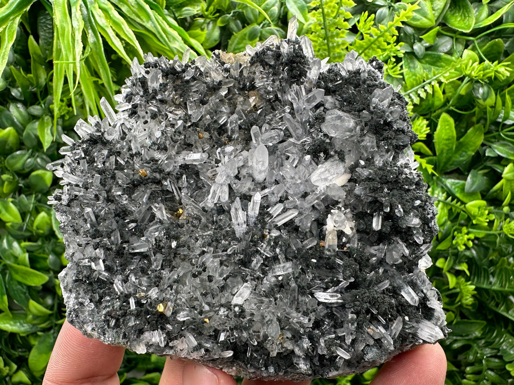 Pyrite on Quartz with Chlorite: Borieva Mine Crystal Decor