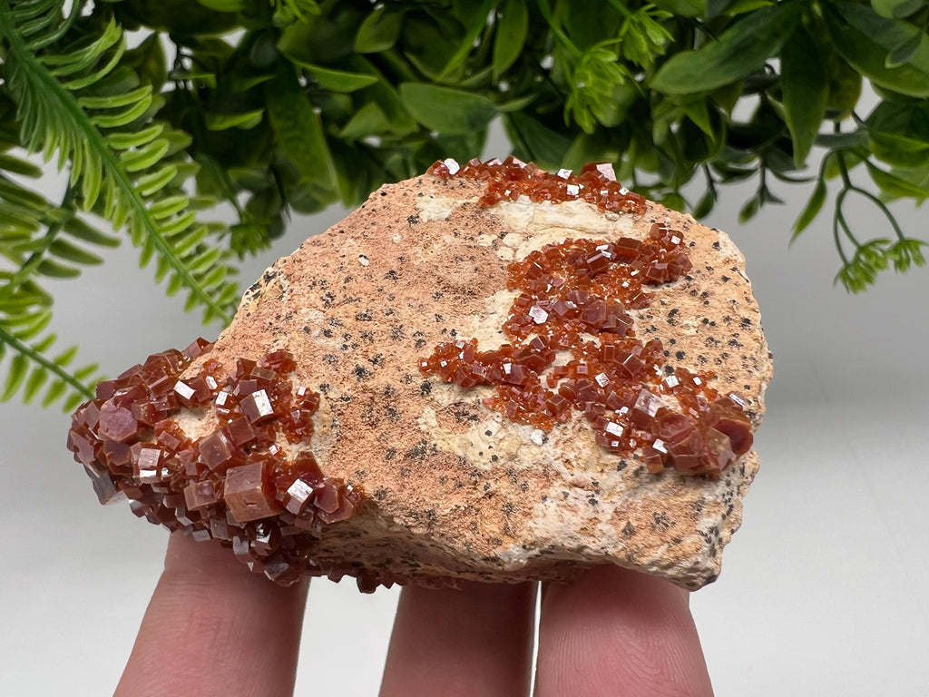 Red Vanadinite on Barite from Marocco,crystal minerals Speciment cluster Vanadinite crystal Vanadinite Geology Vanadinite cluster minerals