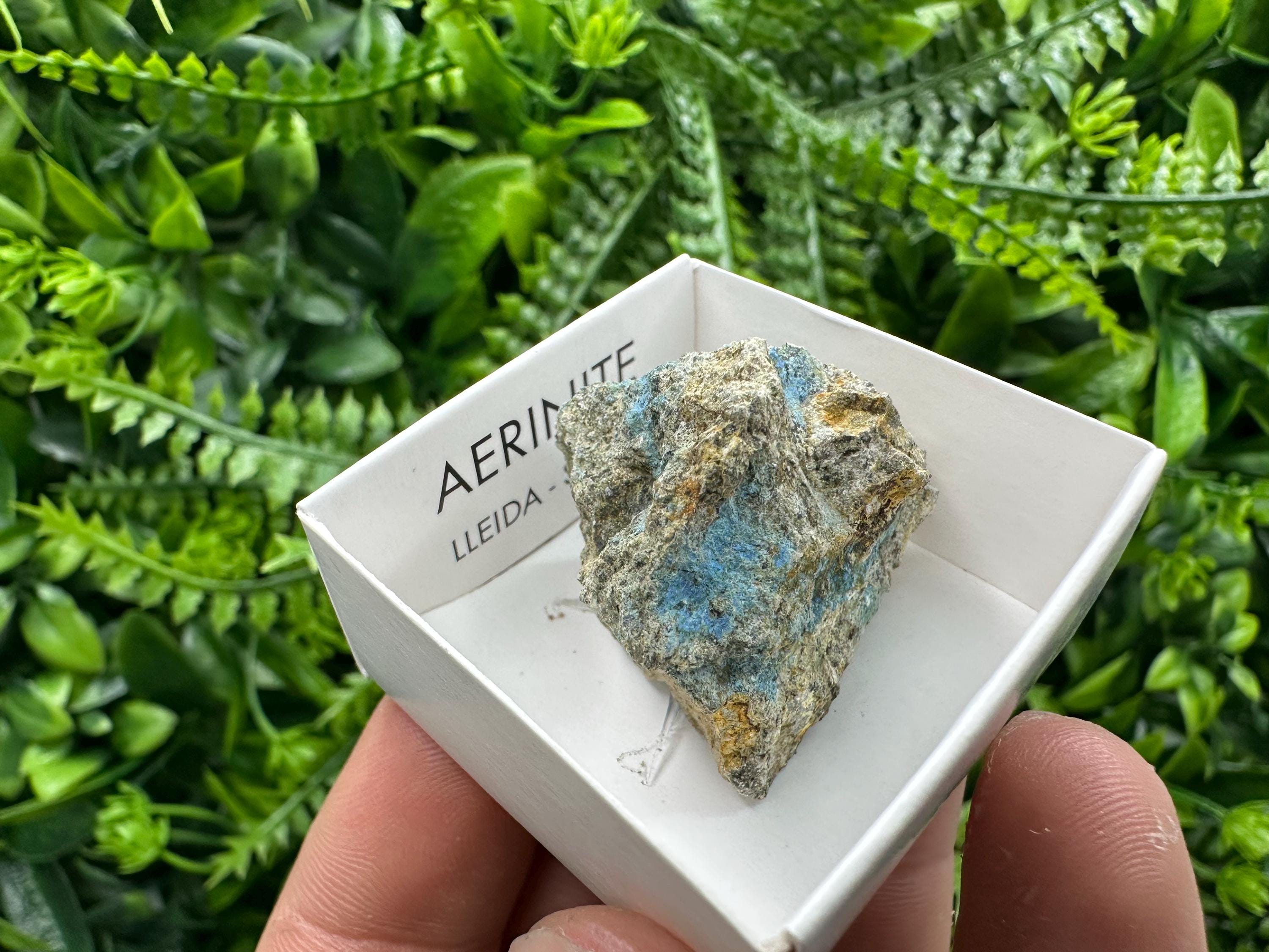 Rare Raw Aerinite Mineral Specimen, Lleida Spain