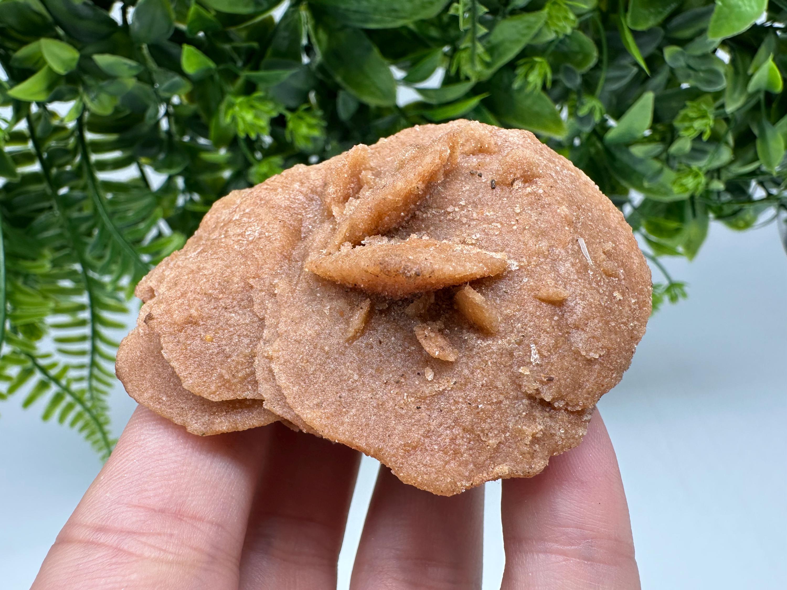 Natural Desert Rose Crystal – Root Chakra Healing Selenite Stone
