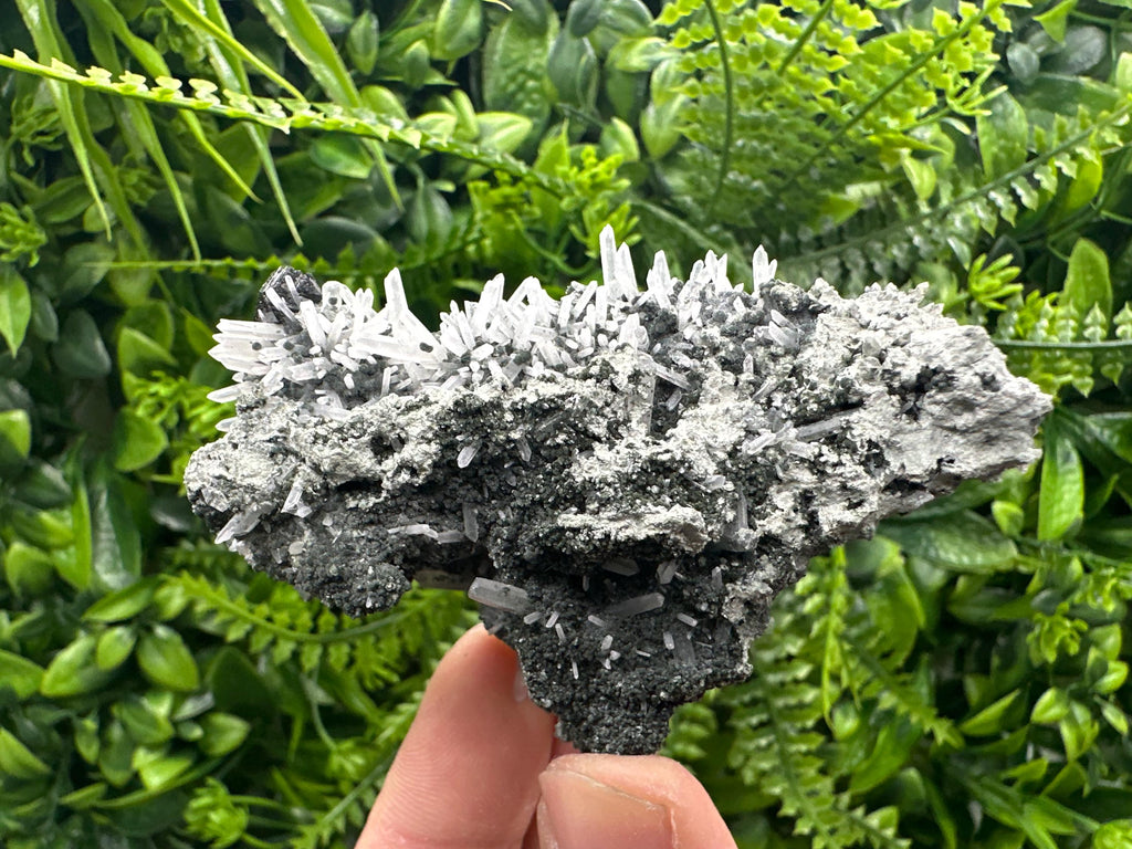 Quartz with Chlorite and Sphalerite, Borieva Mine Mineral Specimen
