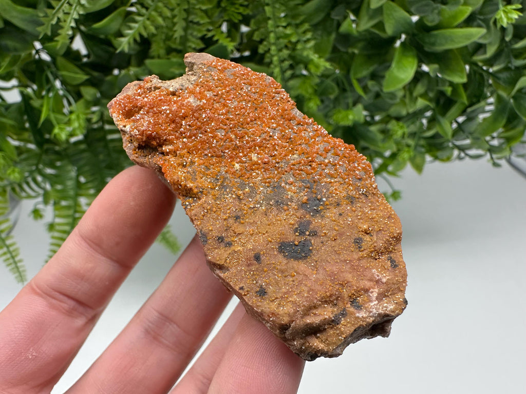 Red Vanadinite on Matrix from Marocco,crystal minerals Speciment cluster Vanadinite crystal Vanadinite Geology Vanadinite cluster minerals