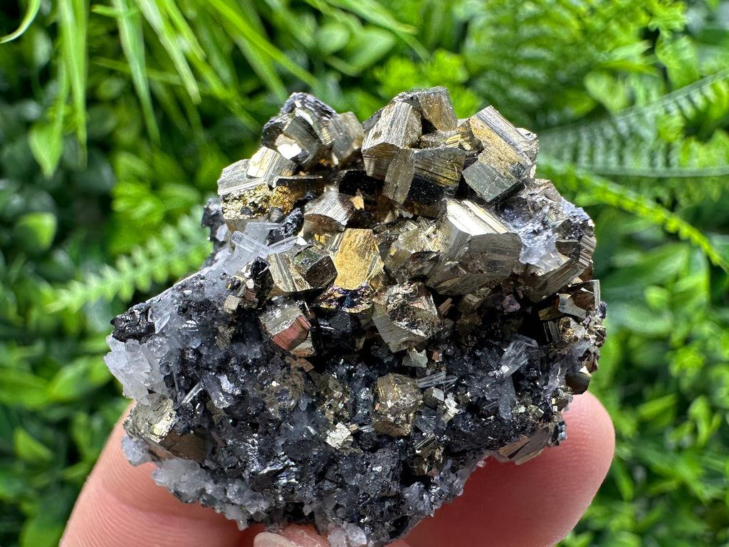 Rainbow Pyrite on Sphalerite & Quartz, Borieva Mine, Bulgaria