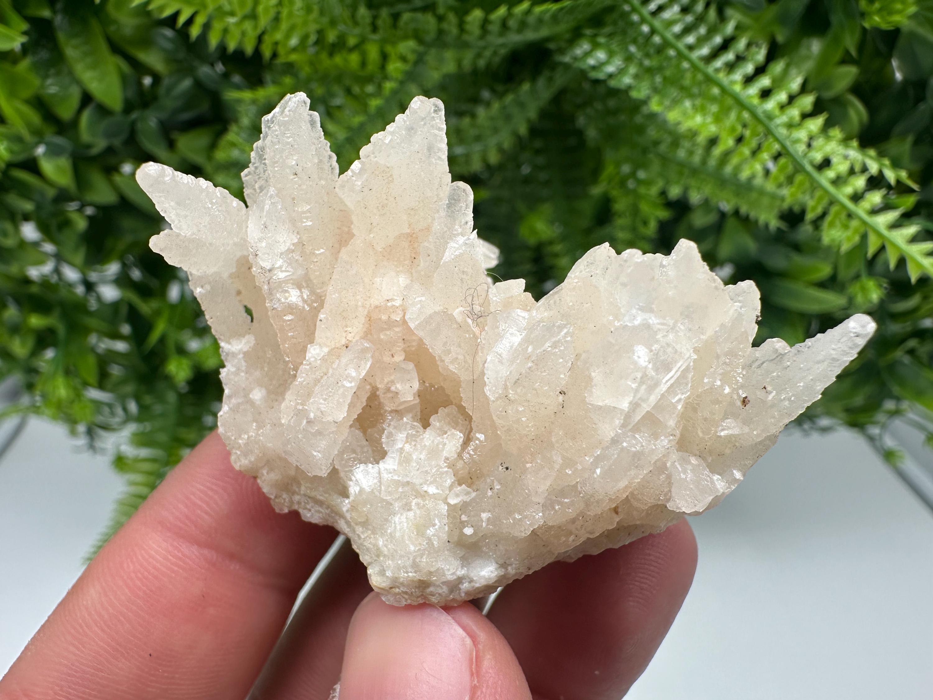 Calcite on Green Quartz: Djurcovo Mine, Bulgaria Crystal