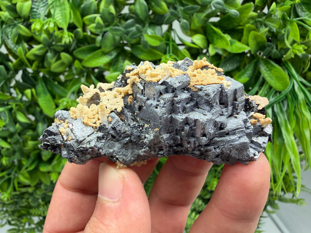 Aesthetic Natural shiny Galena whit Siderite and Quartz from 9 th September mine,Bulgaria,collection specimen,rare galena,Galena cluster