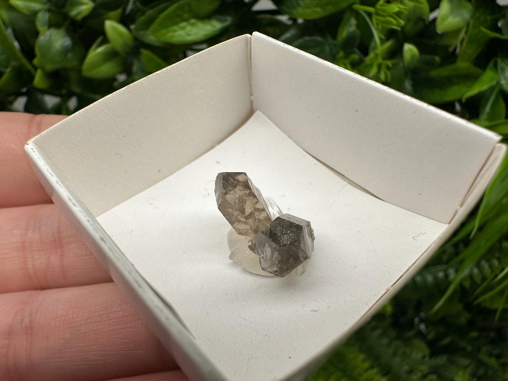 Rare Fedenstock Smoky Quartz Mineral Specimen (17 MM)