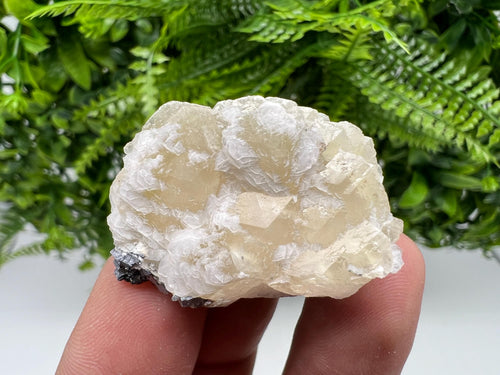 Calcite on Galena Specimen: Borieva Mine, Bulgaria