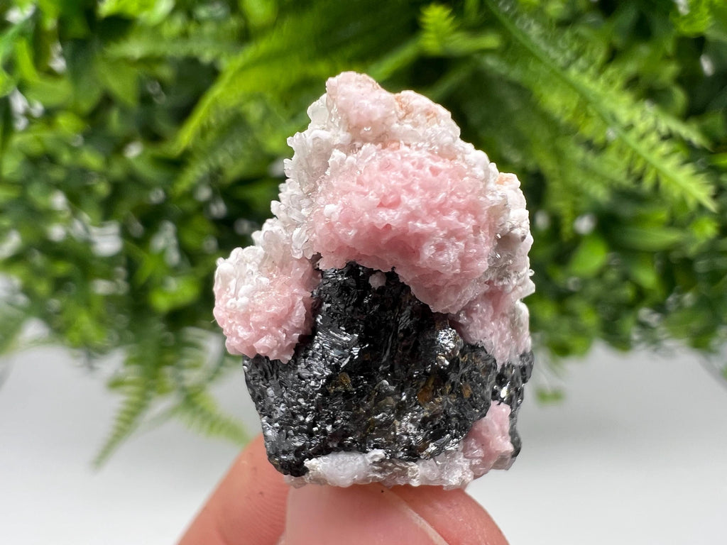 Rhodochrosite on Quartz: Pink Mineral Specimen, Starnica Mine