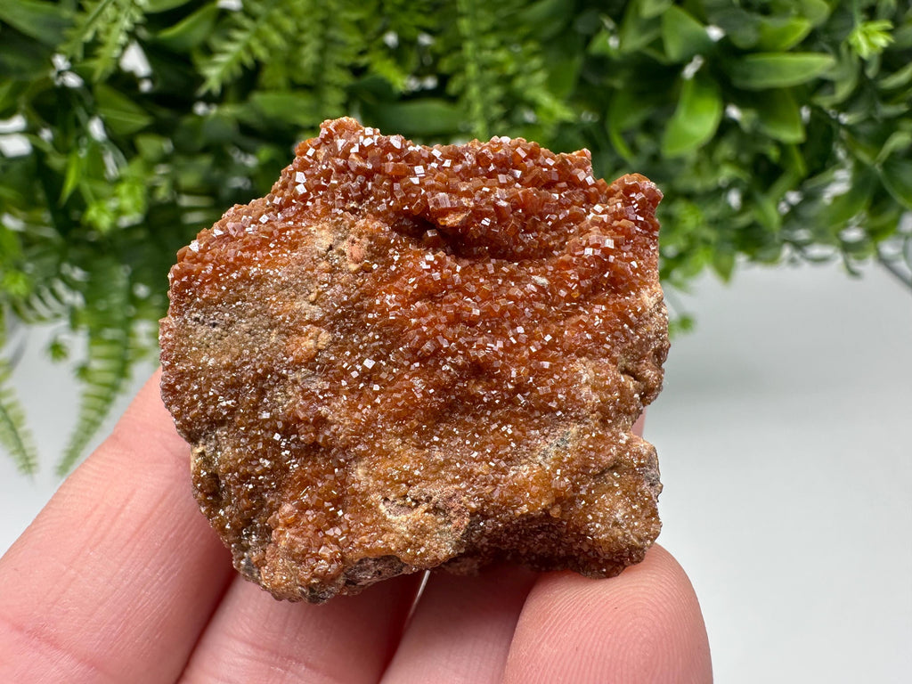 Red Vanadinite on Matrix from Marocco,crystal minerals Speciment cluster Vanadinite crystal Vanadinite Geology Vanadinite cluster minerals