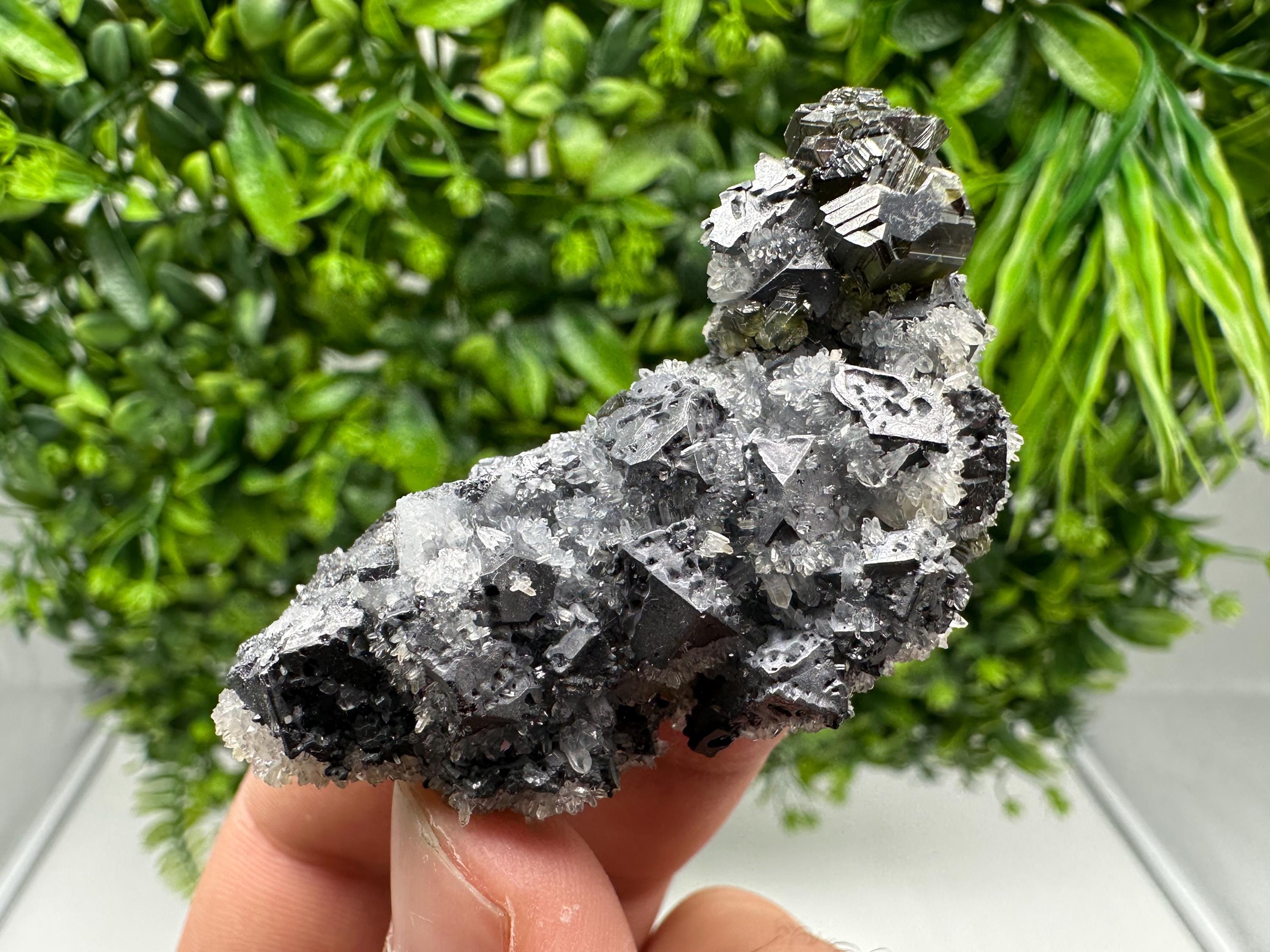 Rare Galena Sphalerite Pyrite Mineral Specimen: Krushev Dol Mine
