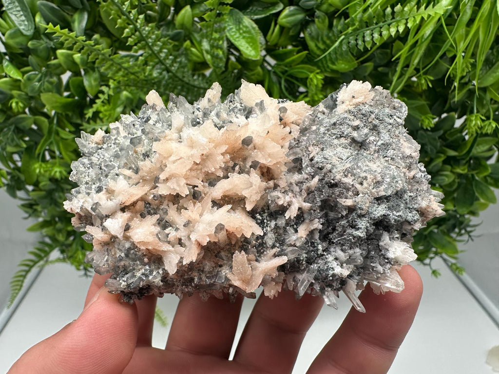 Calcite on Green Quartz: Djurcovo Mine, Bulgaria Crystal