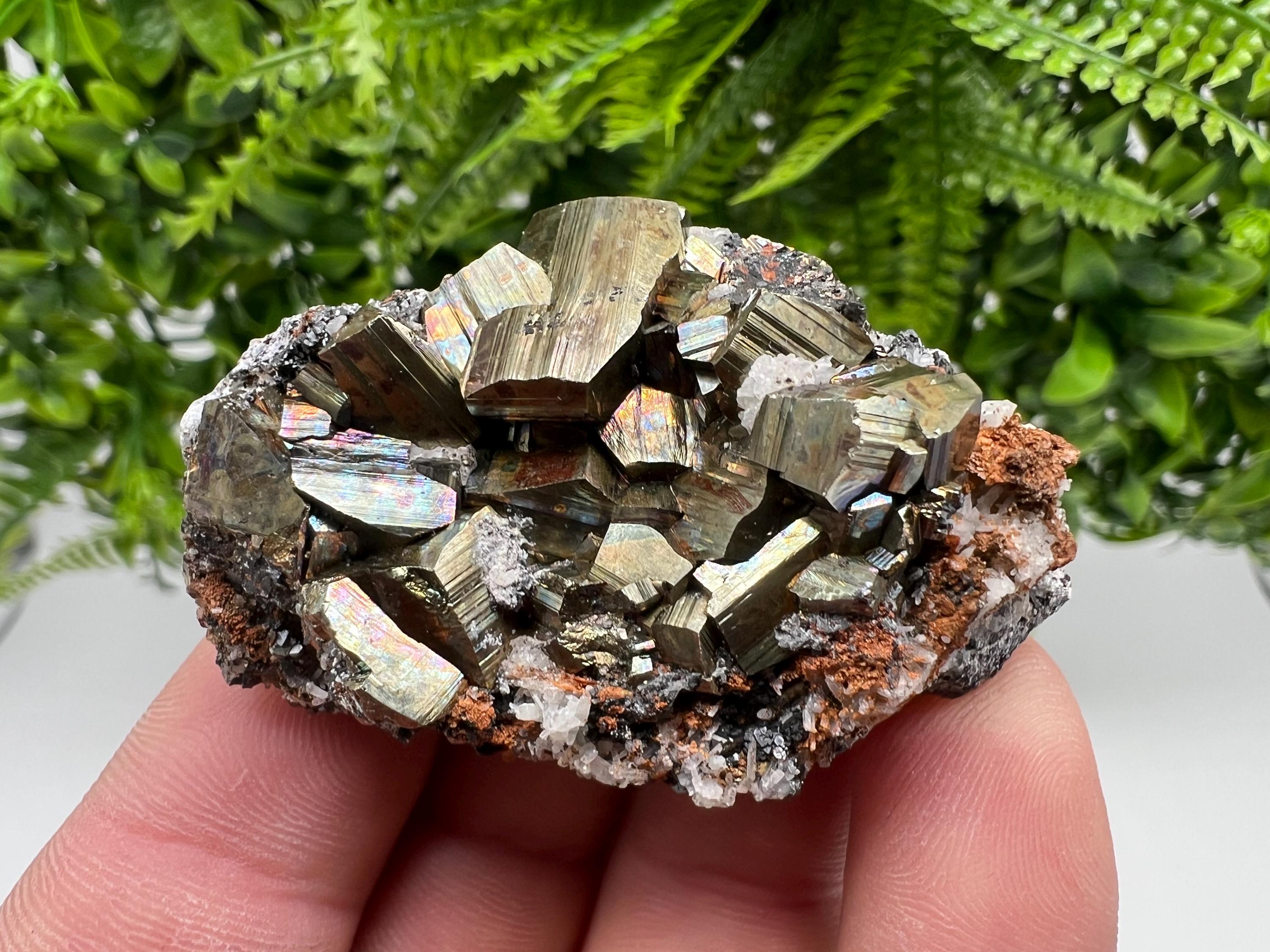 Pyrite with Hematite and Sphalerite on Quartz, Bulgaria Mineral Specimen