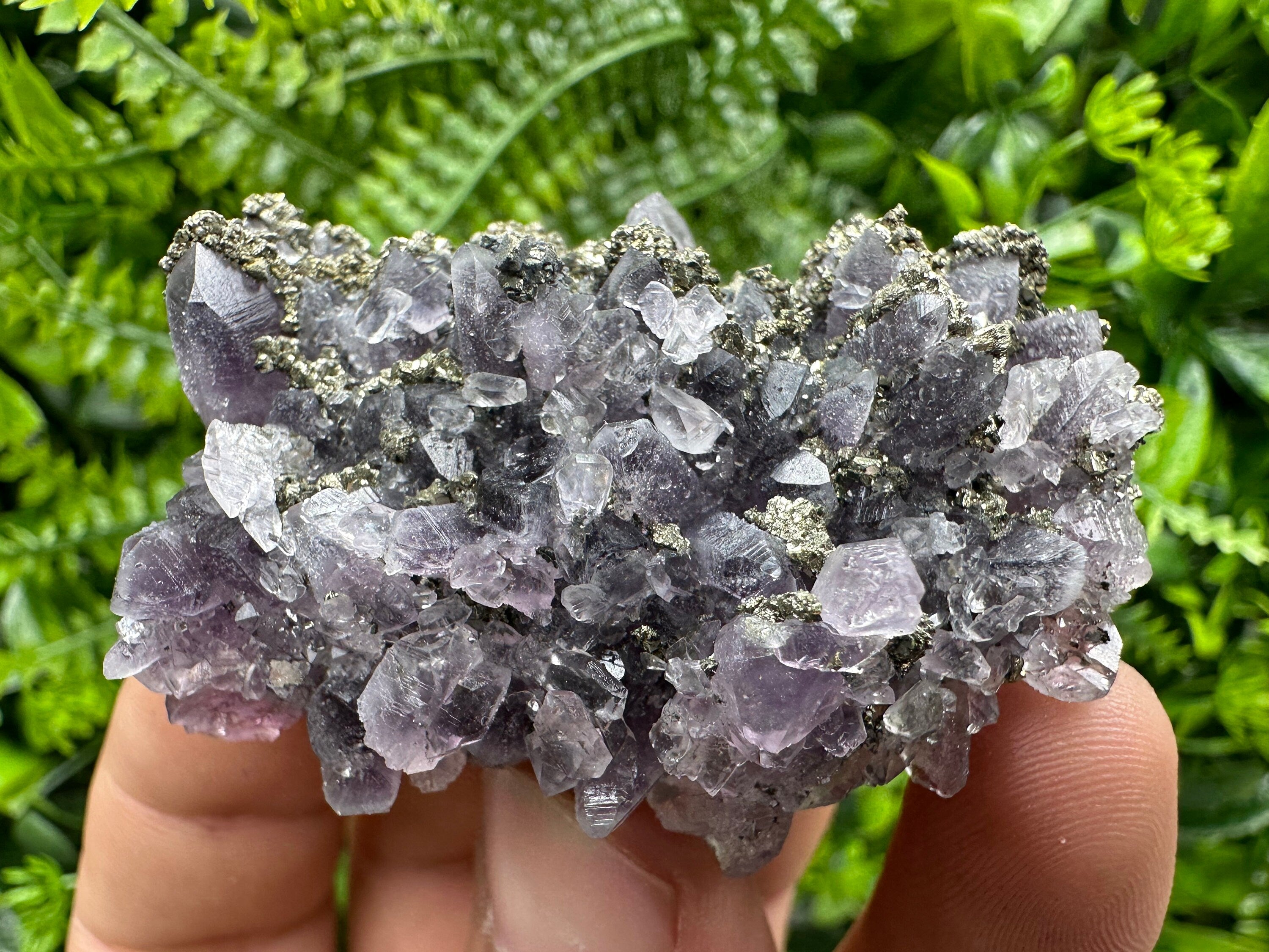 Amethyst with Pyrite: Natural Crystal Mineral Souvenir