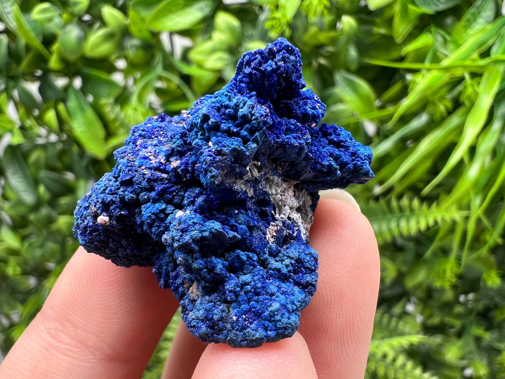 Crystallized Azurite-Kerrouchen,Morocco-Blue Azurite Specimen-High Quality Blue Azurite-Azurite Mineral Specimen, gemmy,lustrous of Azurite