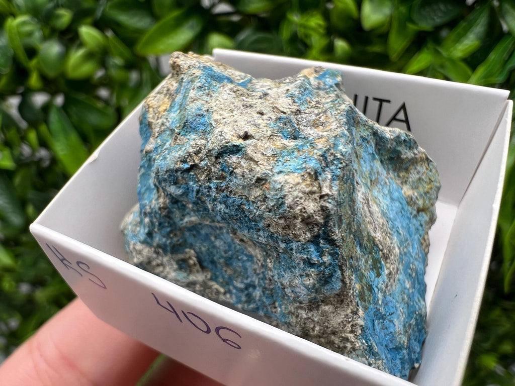 Rare Raw Aerinite Mineral Specimen: Lleida, Spain Collection Crystal