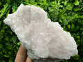 UV Reactive Mangano Calcite Crystal: Androvo Mine, Bulgaria