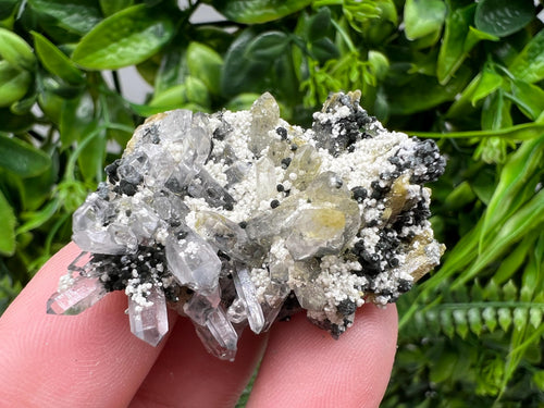 Chlorite Epidote Quartz Specimen, Borieva Mine, Bulgaria