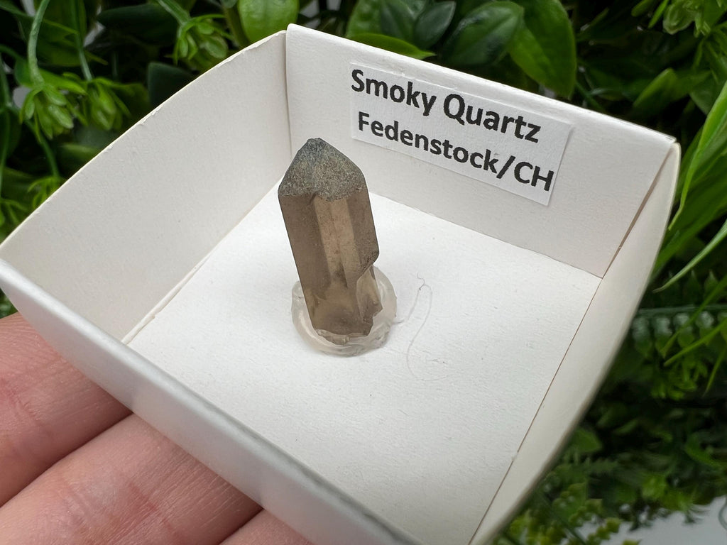 Rare Fedenstock Smoky Quartz Point, Swiss Mineral Specimen (20MM)