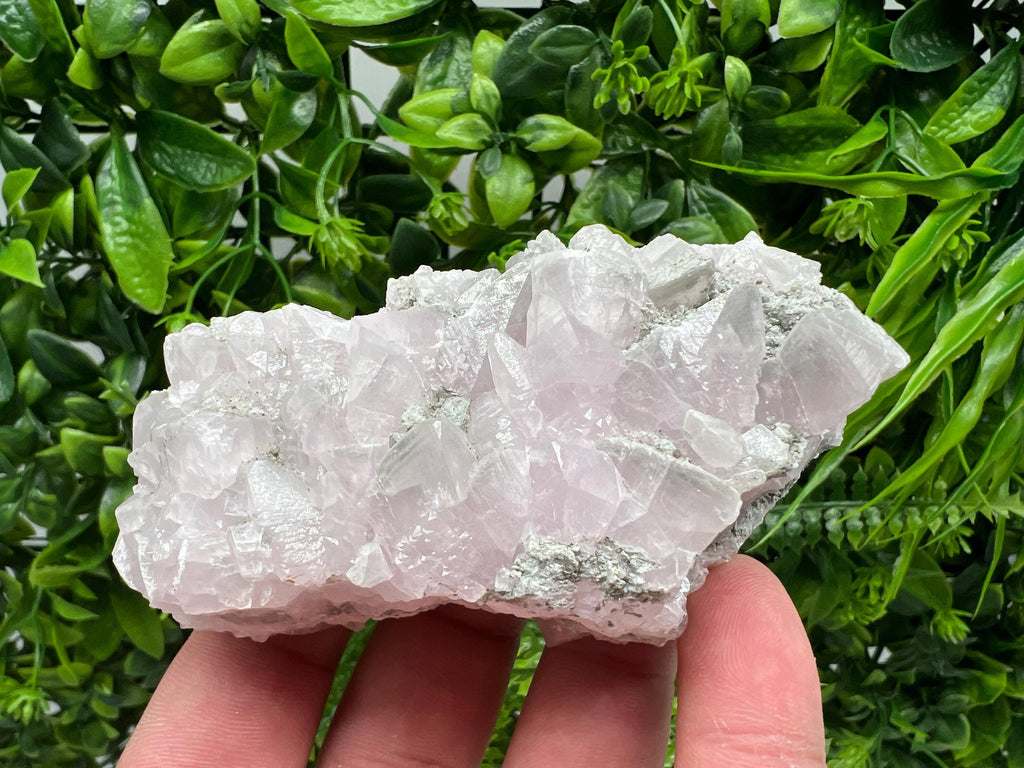 UV Reactive Mangano Calcite Crystal: Androvo Mine, Bulgaria