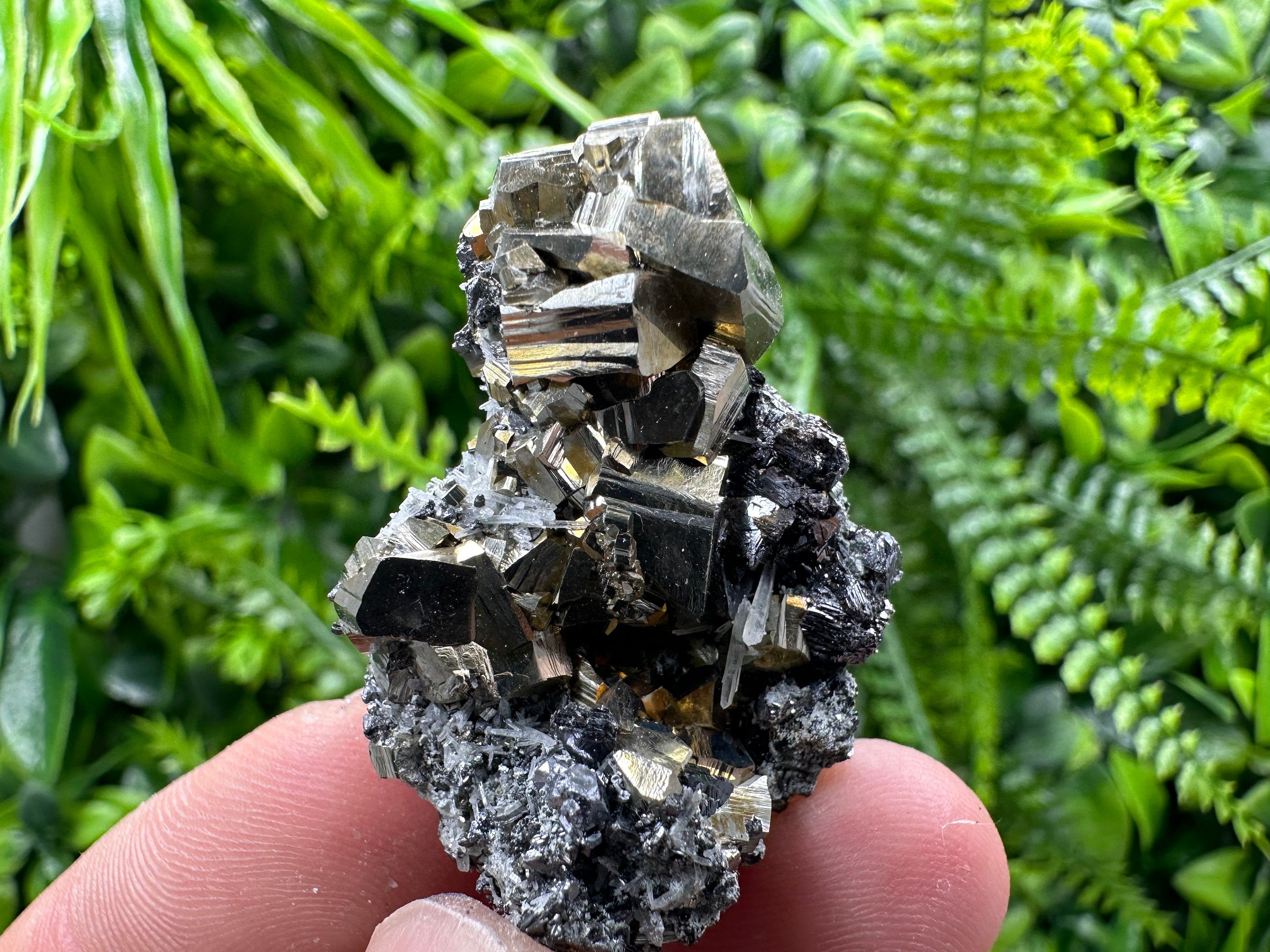 Pyrite Galena Sphalerite Quartz Mineral Specimen, Borieva Mine Bulgaria