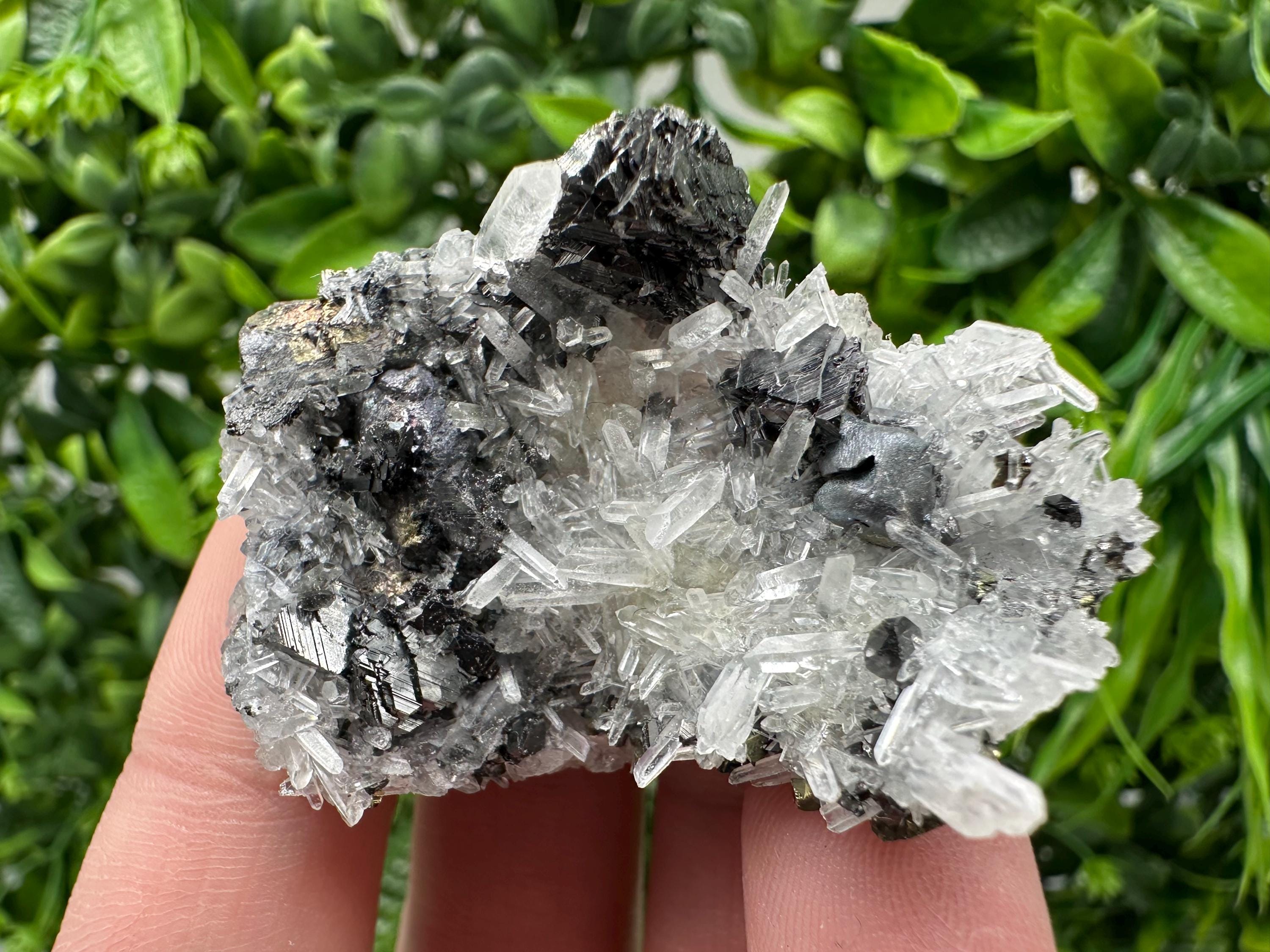 Wonderful Sphalerite Chalcopyrite on  Quartz whit Galena feom 9 th September mine,Bulgaria,natural,collection mineral specimen,gift
