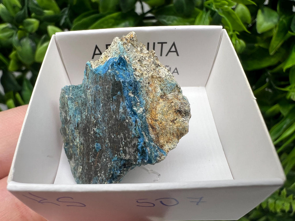 Rare Raw Aerinite Mineral Specimen: Lleida, Spain Collection Crystal