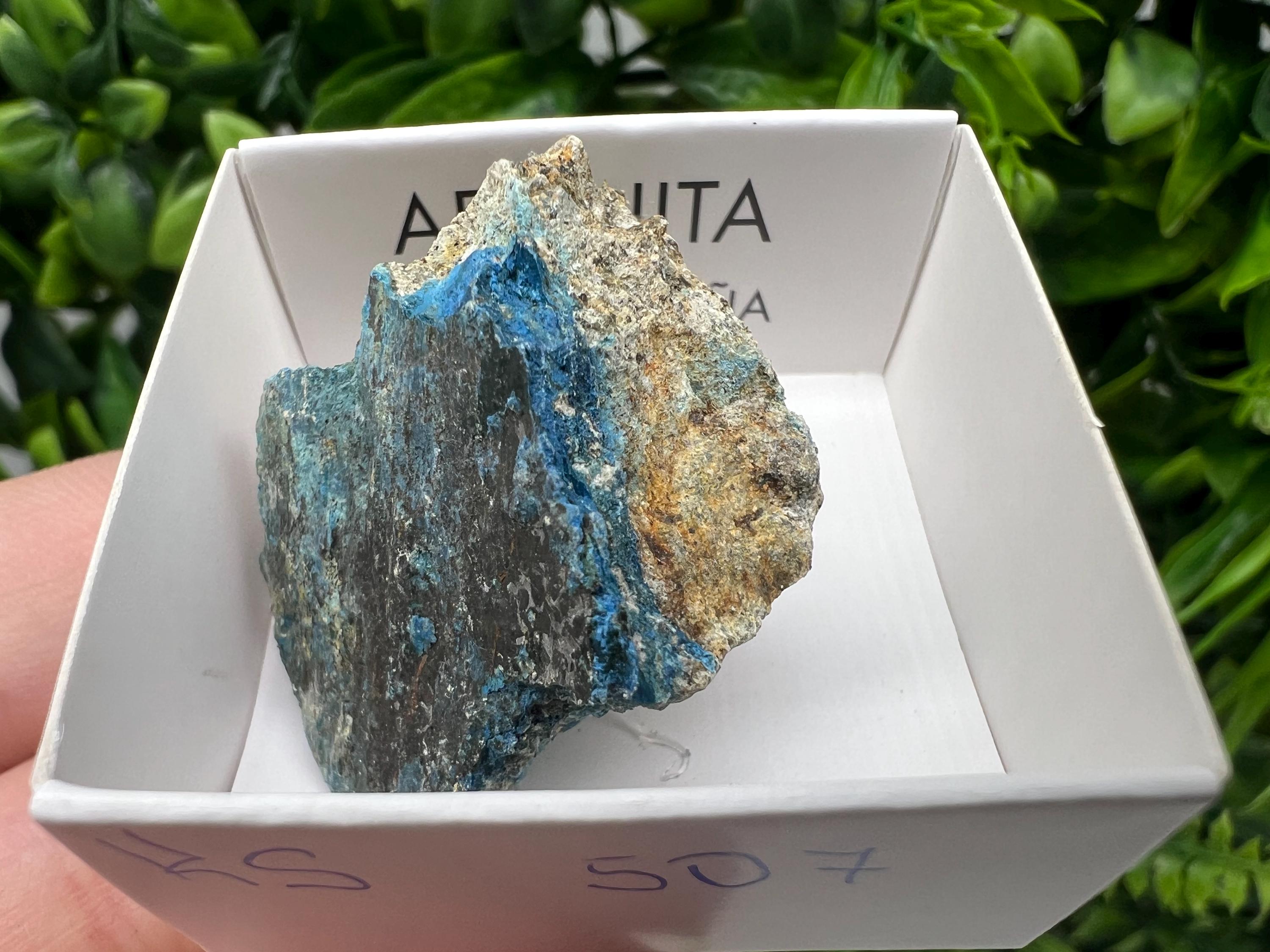 Rare Raw Aerinite Mineral Specimen: Lleida, Spain Collection Crystal