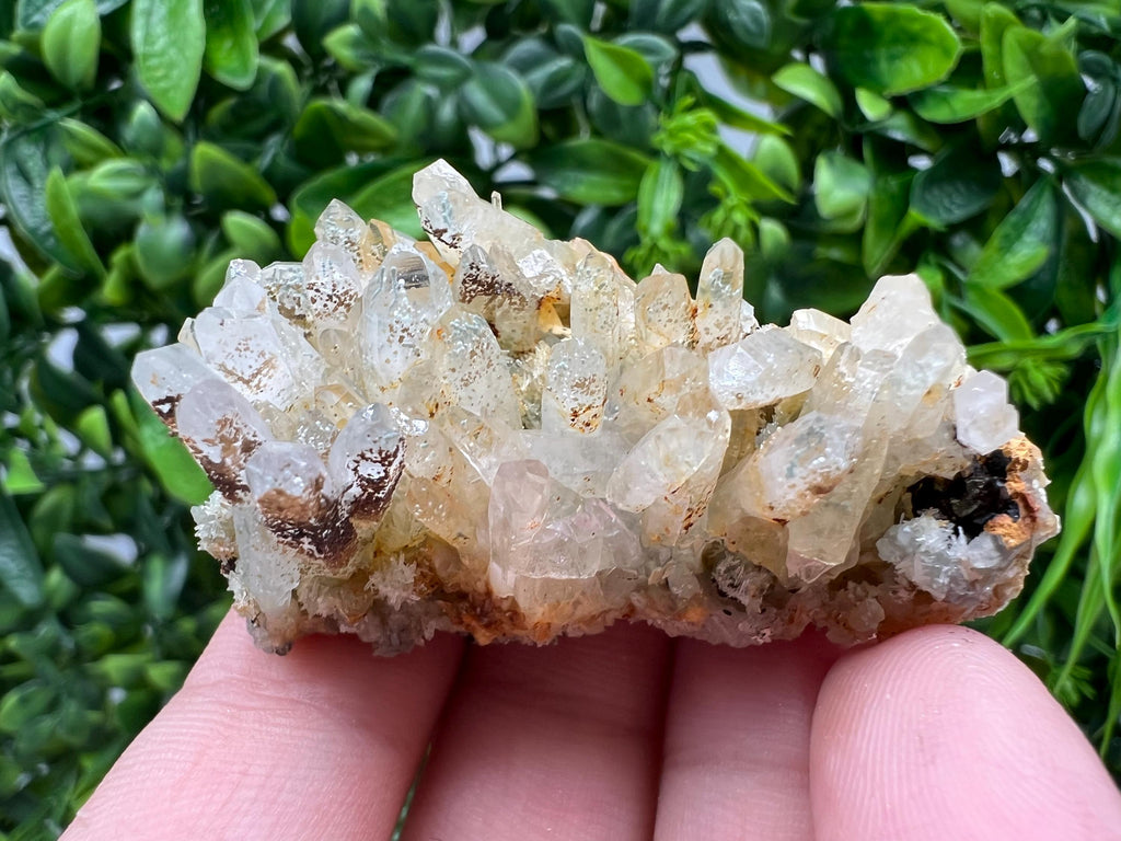 Bulgarian Quartz Mineral Specimen: Iron Oxide Limonite Inclusion
