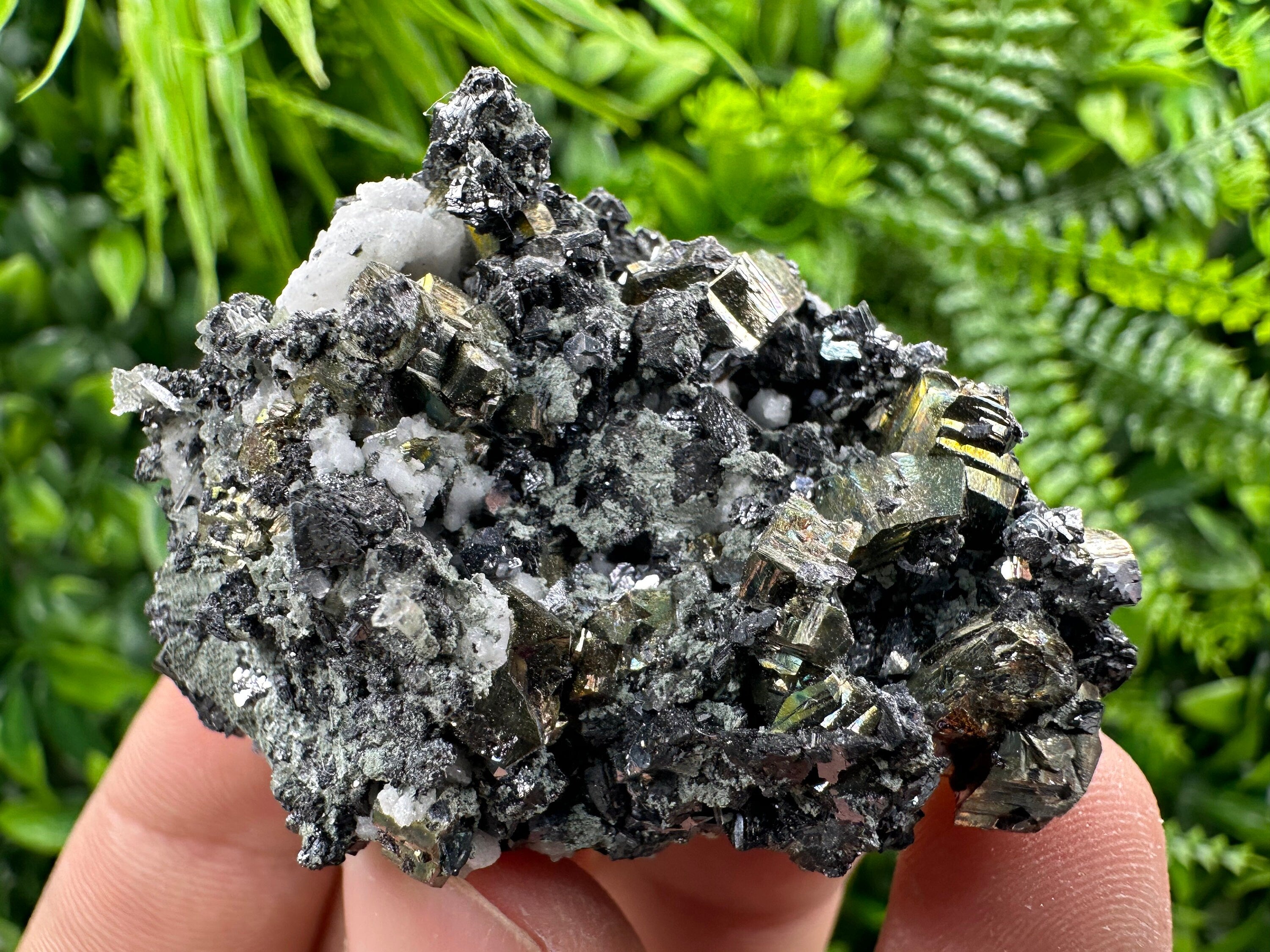 Rainbow Pyrite on Sphalerite and Quartz from Borieva Mine, Bulgaria
