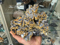 Galena Dolomite Cluster, Krushev dol Bulgaria Mineral Specimen