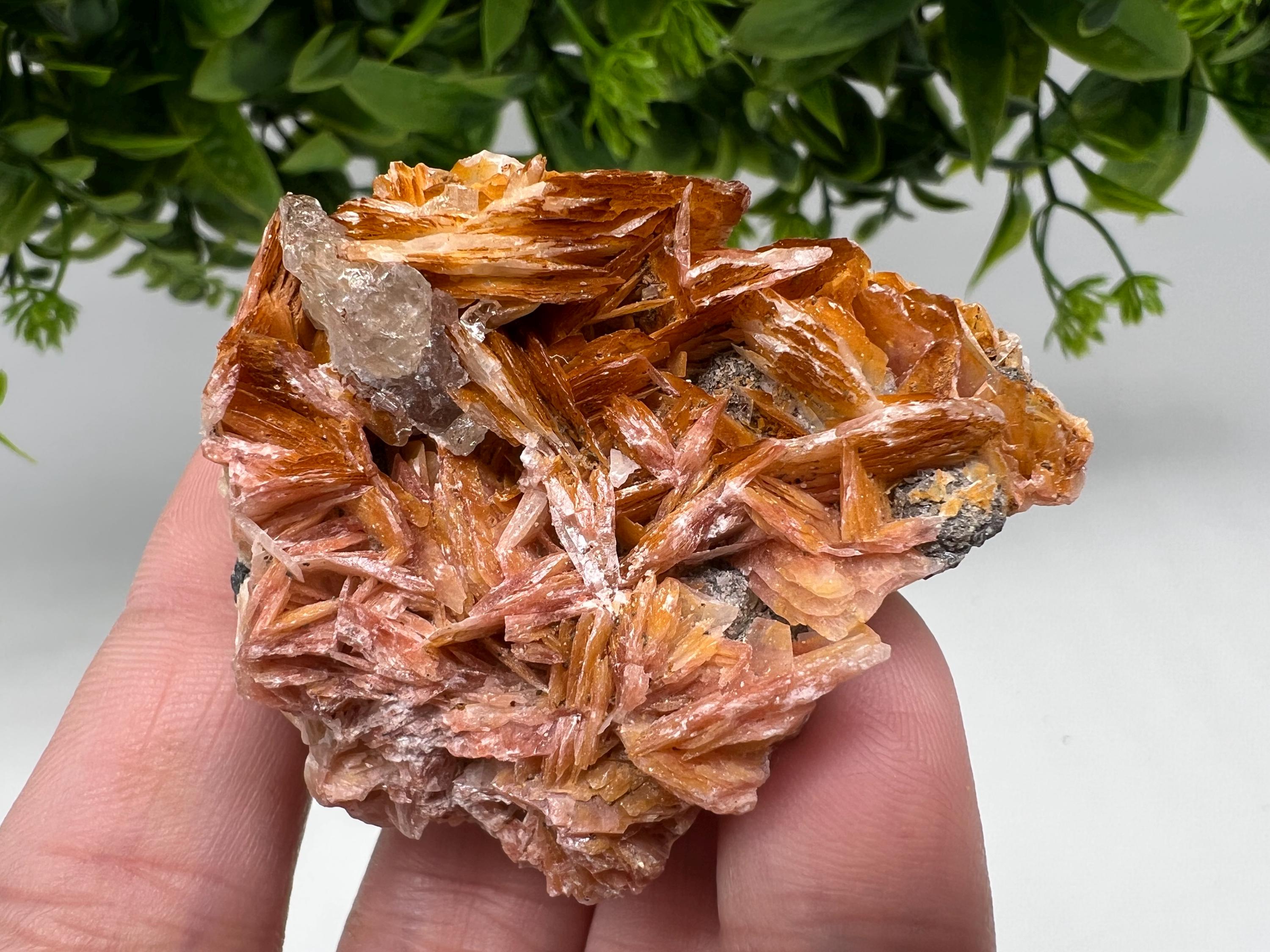 Wonderful Baryte with Cerussite on Galena from Morocco,Crystal, Mineral,Specimen,Cluster,Crystals,Barite Crystal,Cerussite Crystal,Specimen