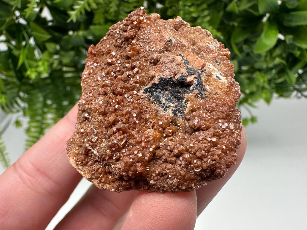 Red Vanadinite on Matrix from Marocco,crystal minerals Speciment cluster Vanadinite crystal Vanadinite Geology Vanadinite cluster minerals