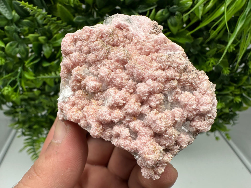 Pink Rhodochrosite Crystal, Starnica Mine, Bulgaria, Mineral Decor